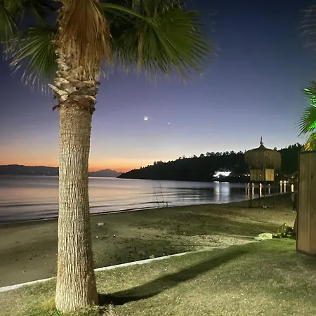 Paradise