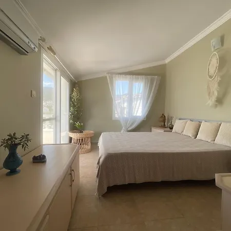 Paradise Apartment