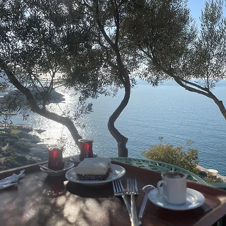 Paradise *